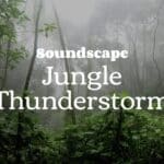 Jungle Soundscape, The Yoga Revolution