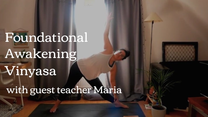 Foundational Awakening Vinyasa yoga class, The Yoga Revolution